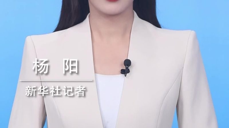 BI系统选型：定制开发的关键考量**